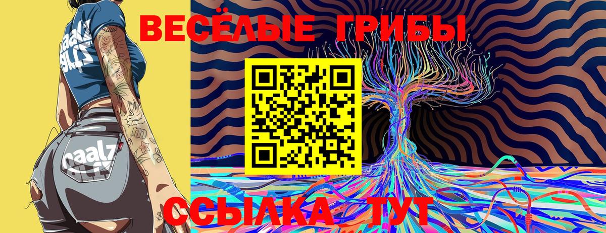 Видное  Галлюциногенные грибы Magic Shrooms  Вход с VPN 